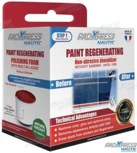 RÉNOVATEUR PEINTURE – PXPB500