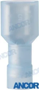 COSSE FEMELLE – AM231418