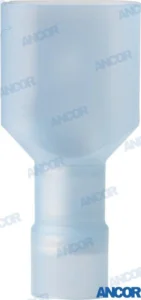 COSSE MALE – AM231419