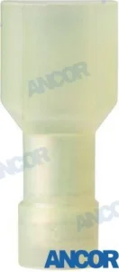 COSSE MALE – AM231429