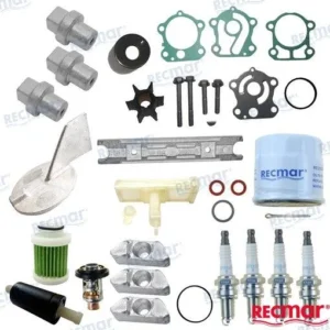 KIT MAINTENANCE YAMAHA – RECKITF100D