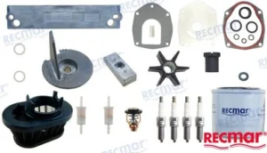 KIT MAINTENANCE MERCURY – RECKITMER115