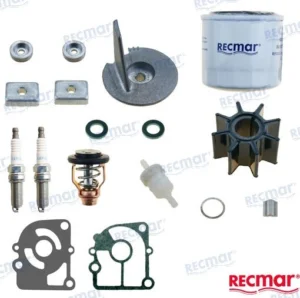 KIT MAINTENANCE MERCURY – RECKITMER15
