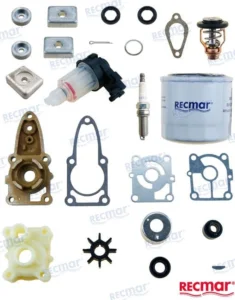 KIT MAINTENANCE MERCURY – RECKITMER20