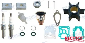 KIT MAINTENANCE MERCURY – RECKITMER209