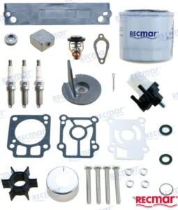 KIT MAINTENANCE MERCURY – RECKITMER25