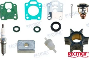 KIT MAINTENANCE MERCURY – RECKITMER4