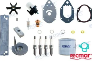 KIT MAINTENANCE MERCURY – RECKITMER50