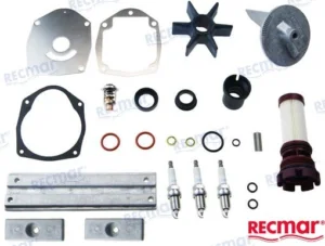 KIT MAINTENANCE MERCURY – RECKITMEROP115