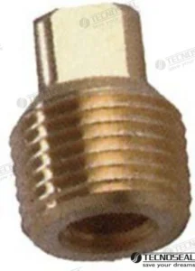 BOUCHON POUR ANODE BOUGIE VOLVO – TEN00713TP