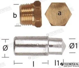 ANODE LOMBARDINI AVEC BOUCHON – TEN02351T