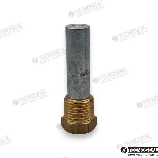 ANODE CUMMINS AVEC BOUCHON - TEN02043T – Image 2