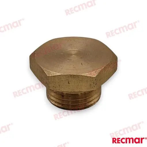 BOUCHON POUR ANODE – REC120650-13420TP – Image 2