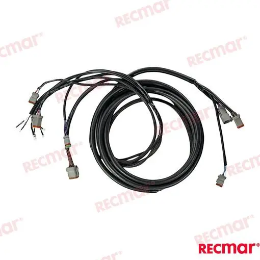 FAISCEAU 20FT – REC176341 – Image 2