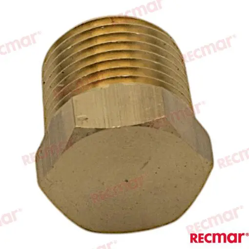 BOUCHON POUR ANODE – REC27210-200370TP – Image 4