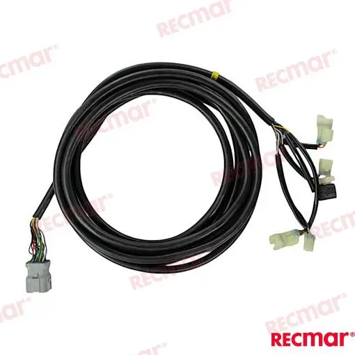 FAISCEAU (20FT) – REC32580-ZVL-900 – Image 2