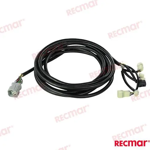 FAISCEAU (20FT) – REC32580-ZVL-900 – Image 3
