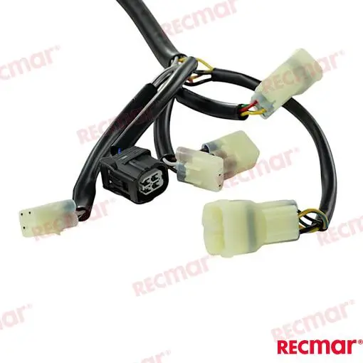 FAISCEAU (20FT) – REC32580-ZVL-900 – Image 5