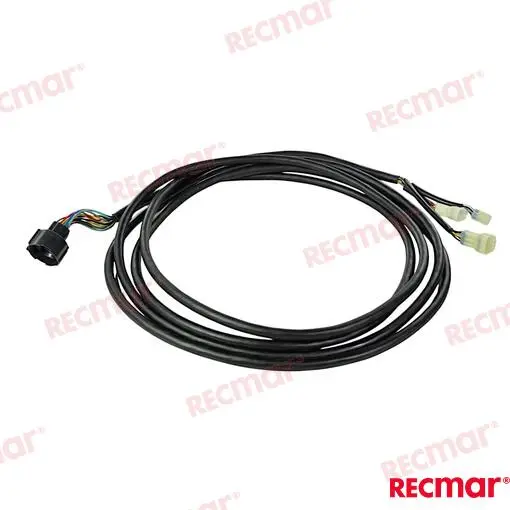 FAISCEAU – REC32580-ZW1-V01 – Image 3