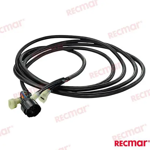FAISCEAU – REC32580-ZW1-V01 – Image 6