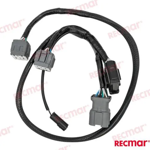FAISCEAU – REC36621-98J00 – Image 2