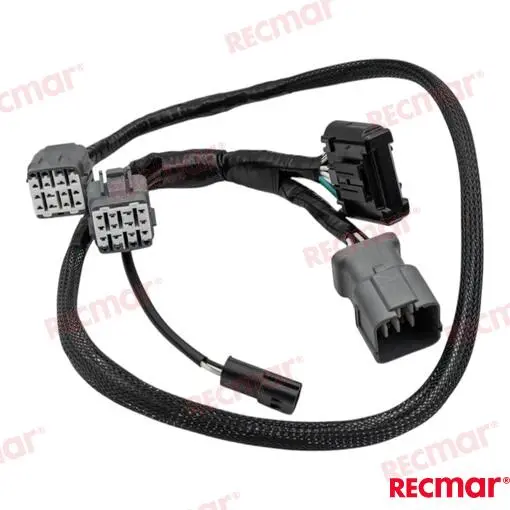 FAISCEAU – REC36621-98J00 – Image 3