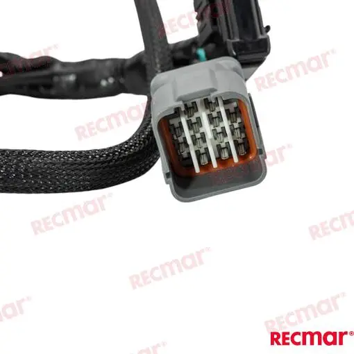 FAISCEAU – REC36621-98J00 – Image 4