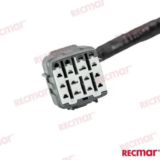 FAISCEAU – REC36621-98J00 – Image 5