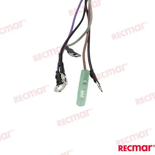 CÂBLE DE COMPTE – REC86396A8 – Image 4