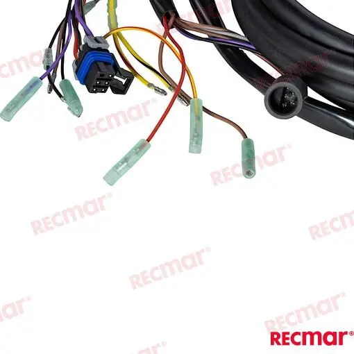FAISCEAU NON TRIM 15FT – REC8M0101080 – Image 4